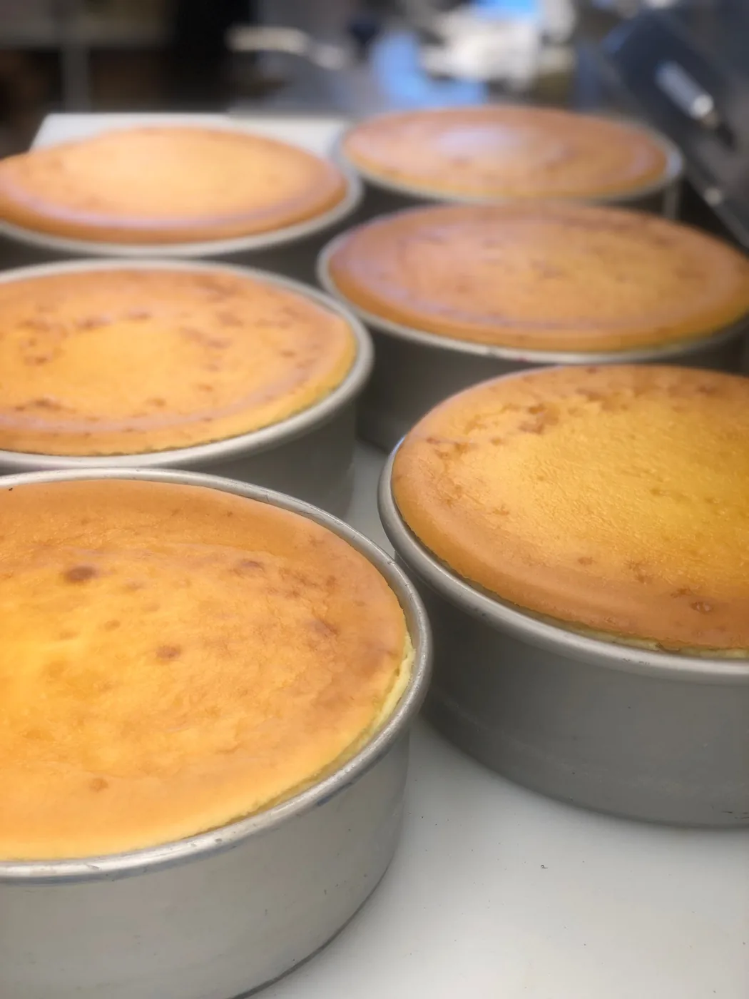 NY cheesecakes fresh out of the oven